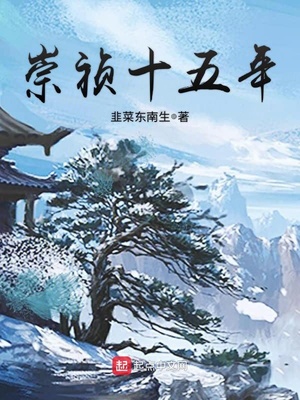 崇禎十五年小說